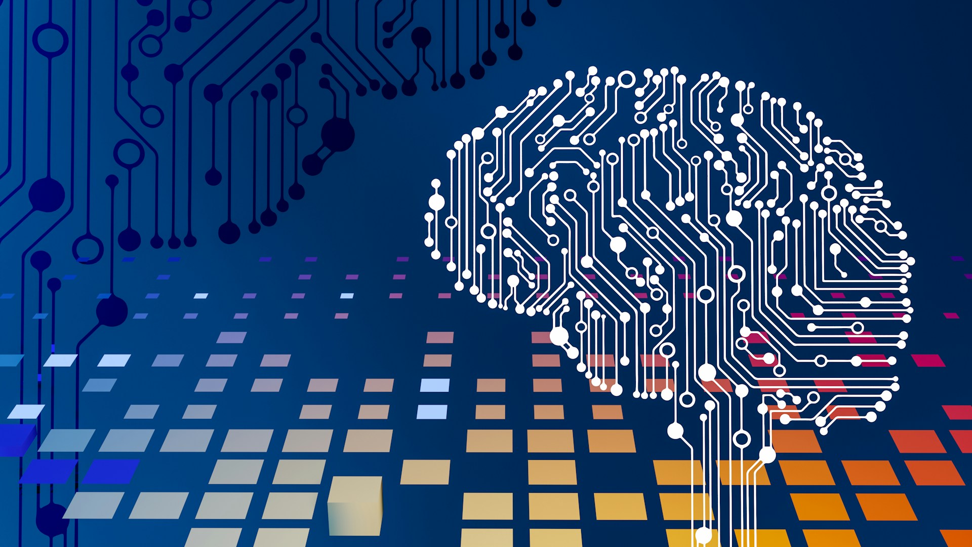 Una imagen de una placa de circuito de computadora que parece un cerebro para representar las herramientas que deben utilizar las PYMES ecuatorianas